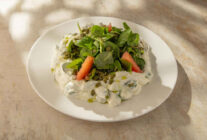 Meyveli kuru cacik t