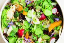 1200x675 akdeniz yesilligi salata